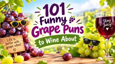 101 Funny Grape Puns to Wine About